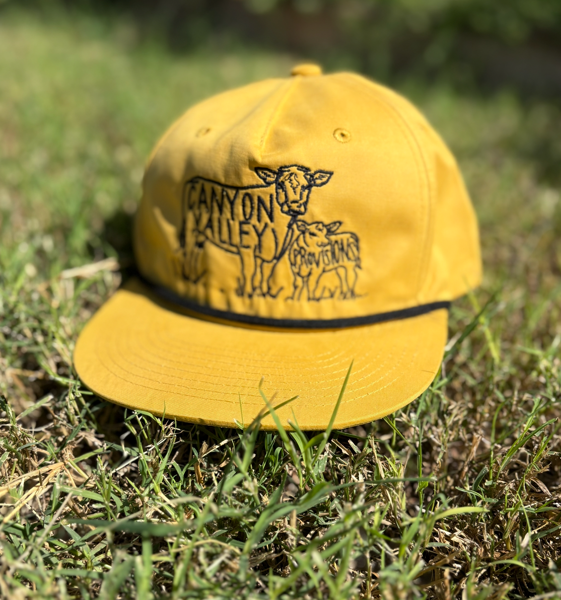 CVP Cap
