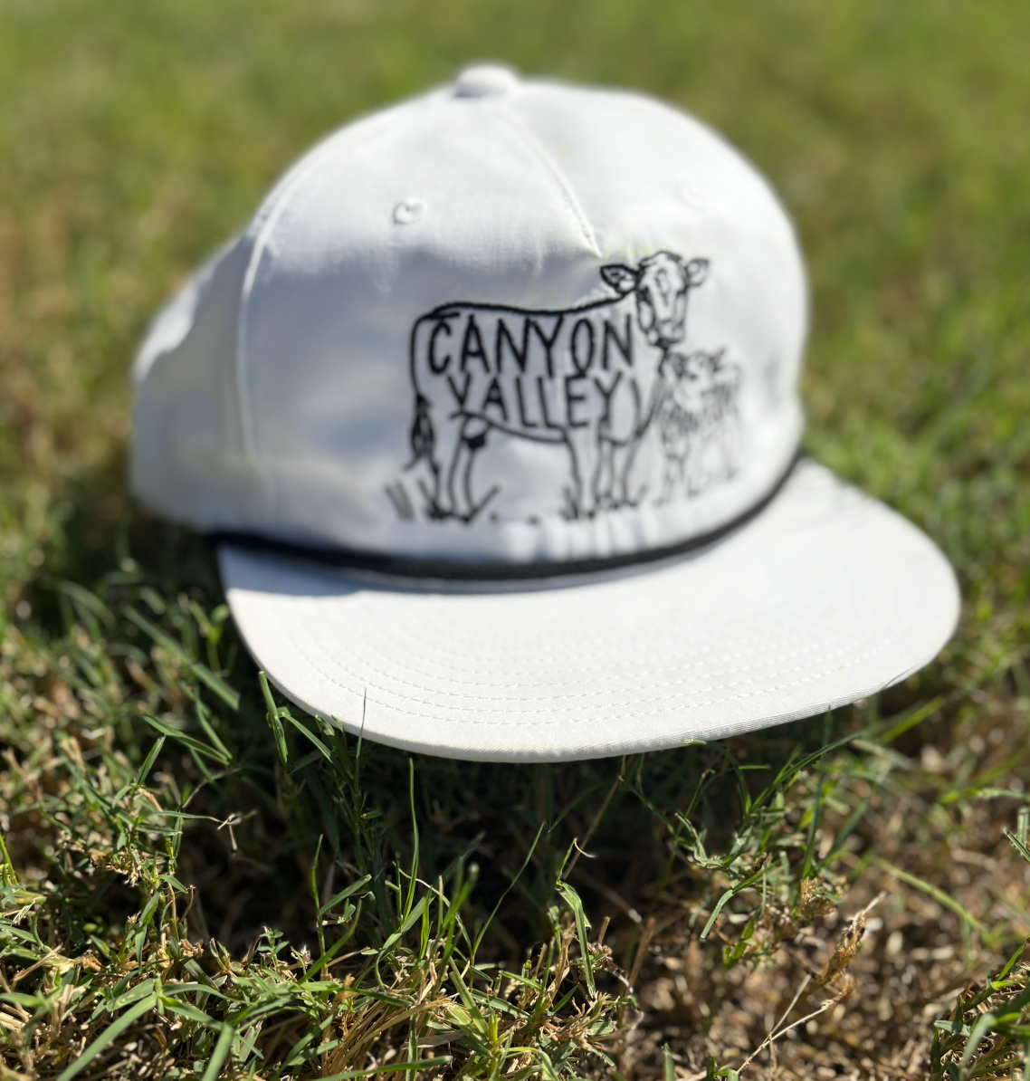 CVP Cap