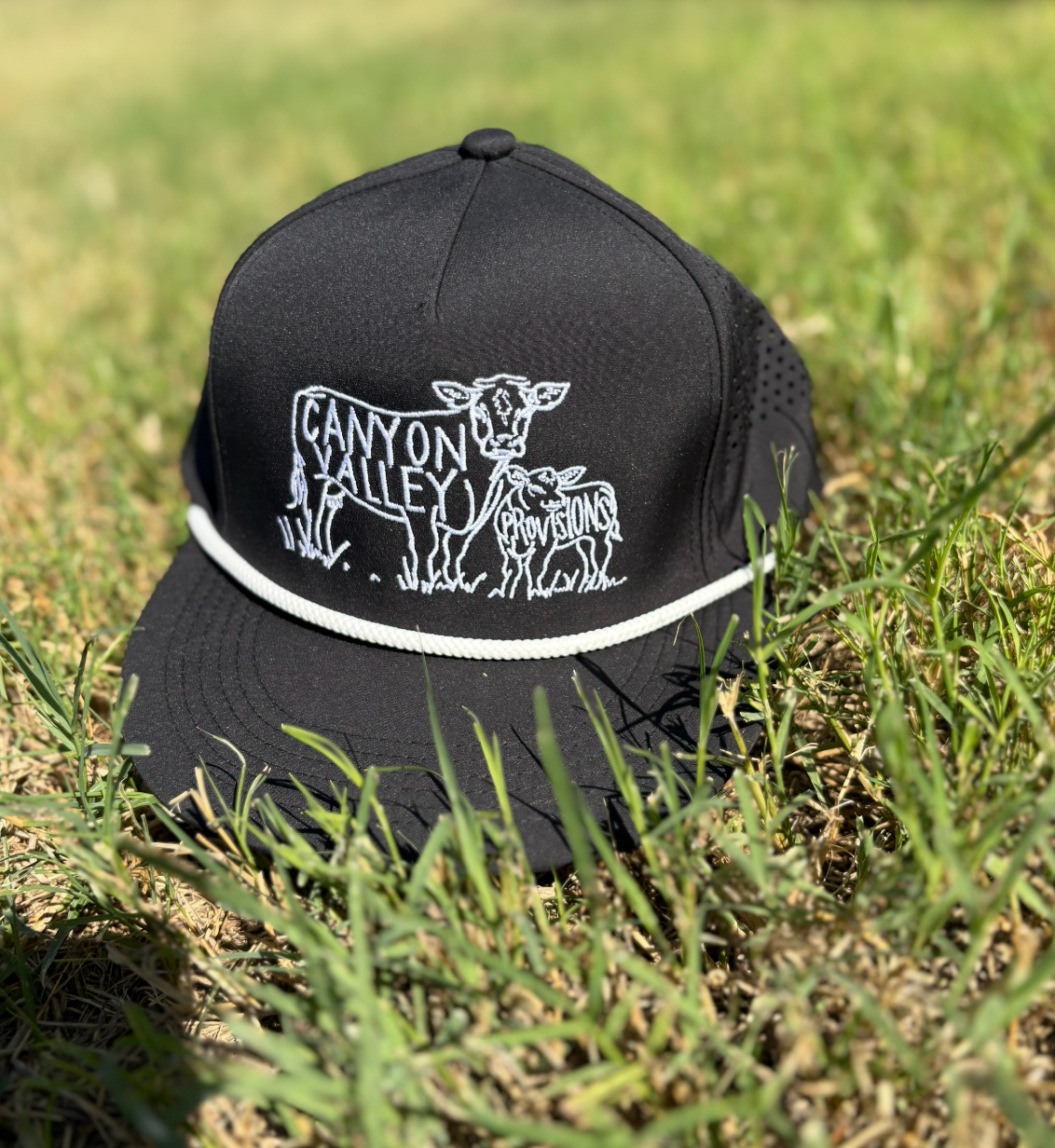 CVP Cap