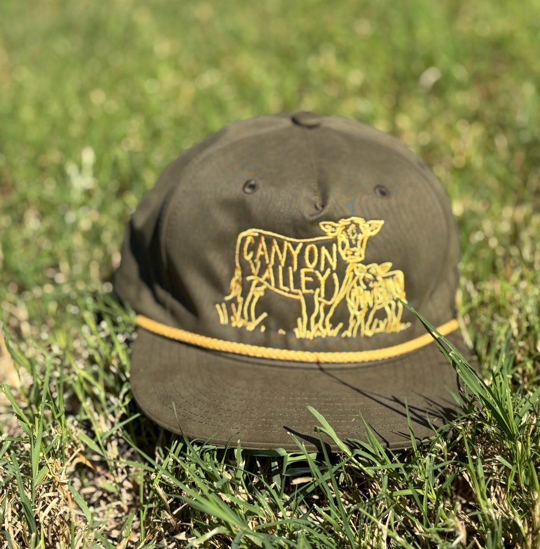 CVP Cap