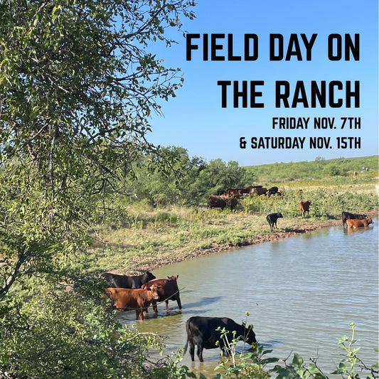 Field Day