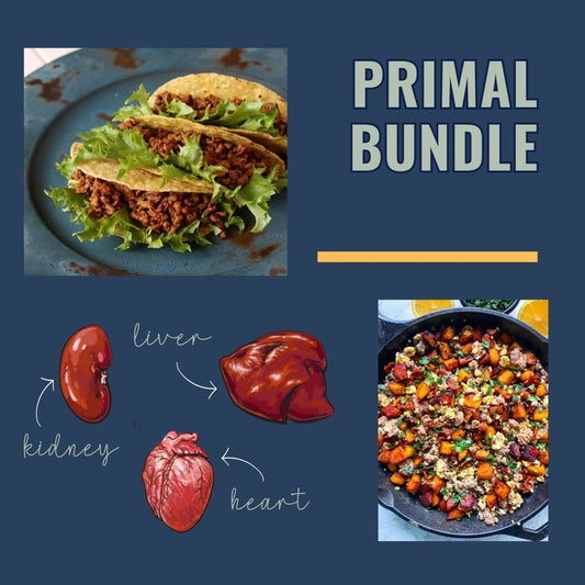 Primal Bundle