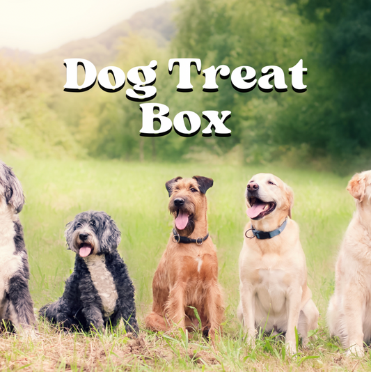 Pet Box