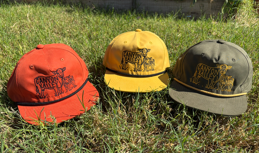 CVP Cap